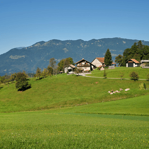 Dobrovlje pri Mozirju