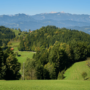 Dobrovlje pri Mozirju