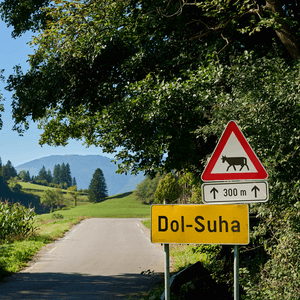 Dol-Suha