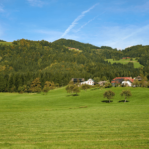 Florjan pri Gornjem Gradu