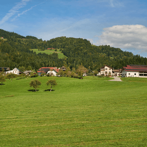 Florjan pri Gornjem Gradu