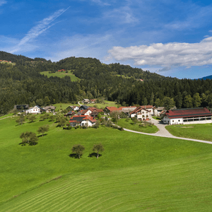 Florjan pri Gornjem Gradu