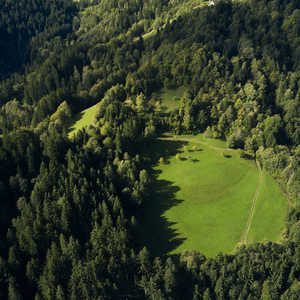 Lenart pri Gornjem Gradu