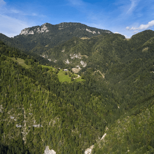 Lenart pri Gornjem Gradu