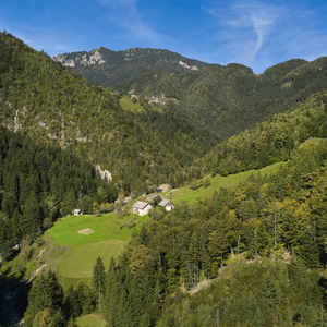 Lenart pri Gornjem Gradu