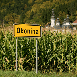 Okonina
