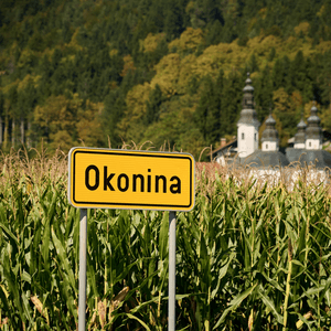 Okonina