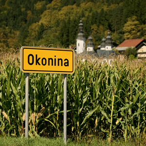 Okonina