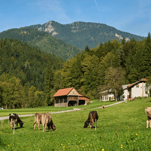Lenart pri Gornjem Gradu